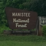 In the Area